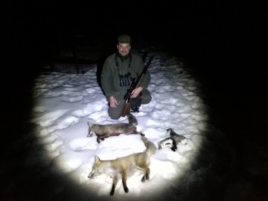 Včerejší liščí noc