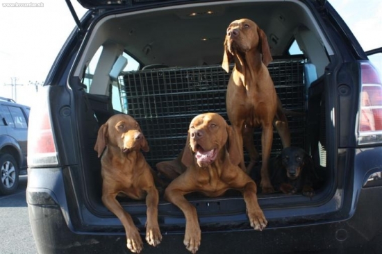 Takhle cestujeme na Slovensko