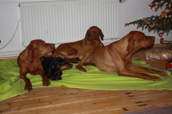 Nefoť a dávej dárky