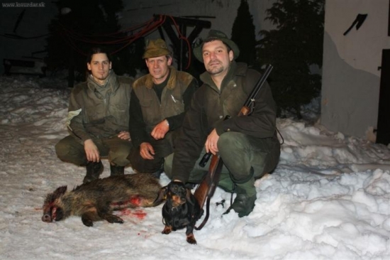 Dosled 20 hodin postřeleného selete, ještě mě chtělo sežrat