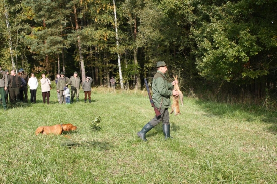 Astor ohrádka s liškou na Mistrovství Šumavy