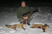 Jedné noci dvě lišky
