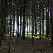 tady jsme se toulali