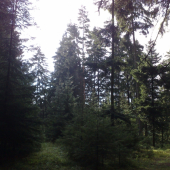 tady chodím moc ráda...:DDD