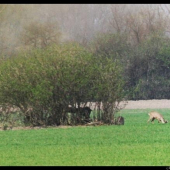 Ale ste daleko...alebo mam slaby zoom...hihi!