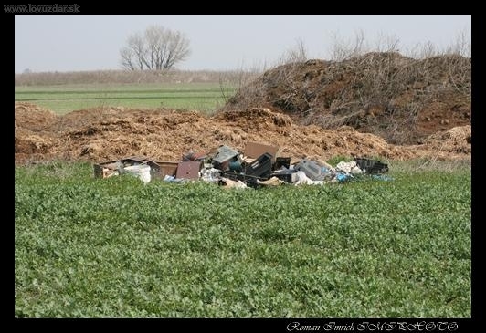 Revir versus k...i....