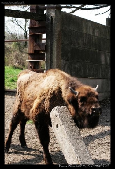 Nejako sa musim poskrabat....