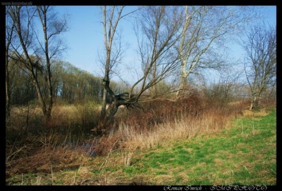 Klatovske mrtve rameno Maleho Dunaja