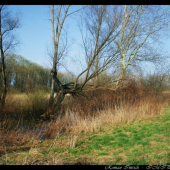 Klatovske mrtve rameno Maleho Dunaja