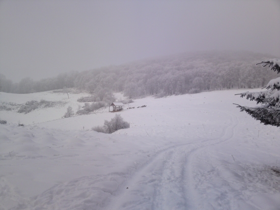 Kŕmelec pre posedom :15m