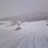 Kŕmelec pre posedom :15m