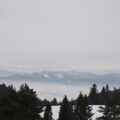 priroda