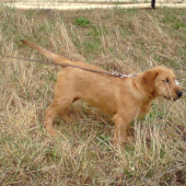 Beny