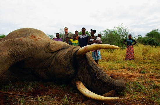 Zimbabwe Chirundu PAC Elefant