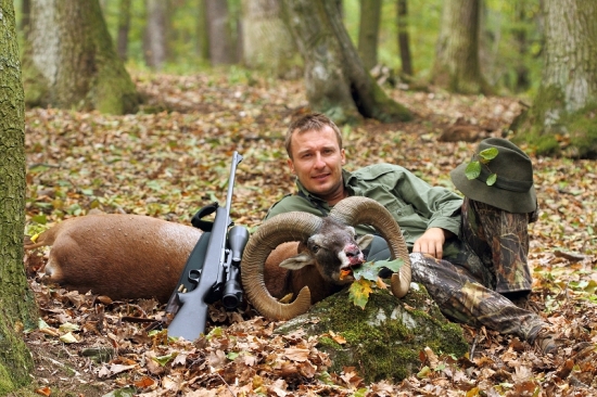 Muflón z Predbukového