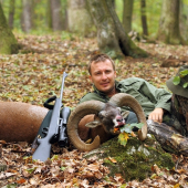 Muflón z Predbukového