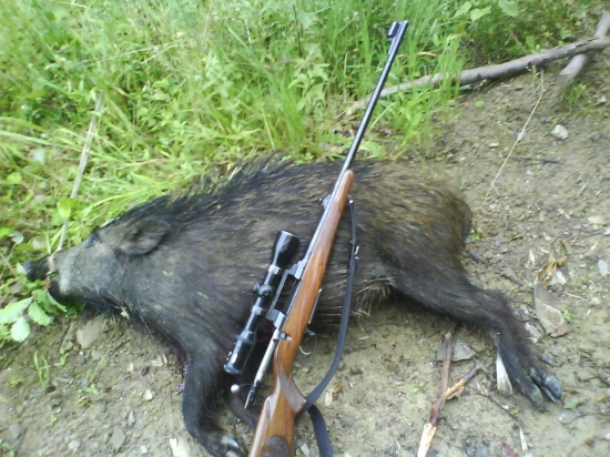 Dnešný