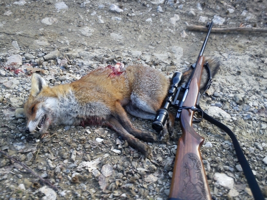 dnešná prekabátená