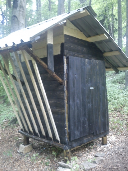 krmenie na jadrové a dužinaté krmivo