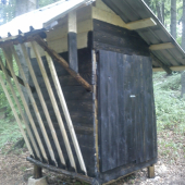 krmenie na jadrové a dužinaté krmivo