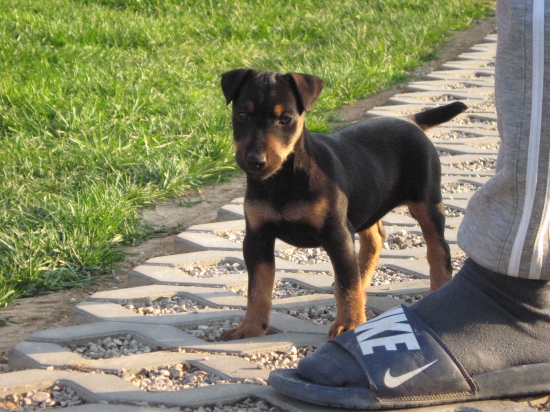 nový prírastok do rodiny