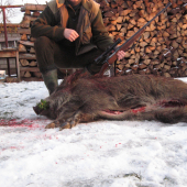 úspešná splnová noc