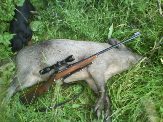308W