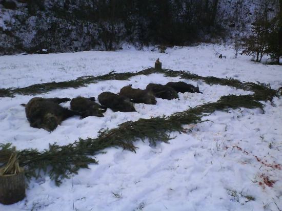 výrad