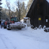 lednove krmeni vysoke .