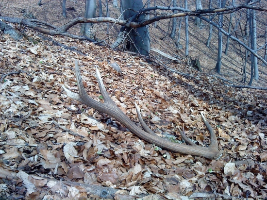 čakal tam na mňa...