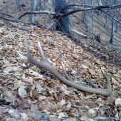 čakal tam na mňa...