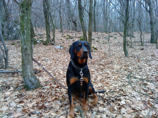 Jagan spod čerinkova