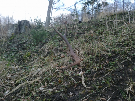nájdený s bicykla...