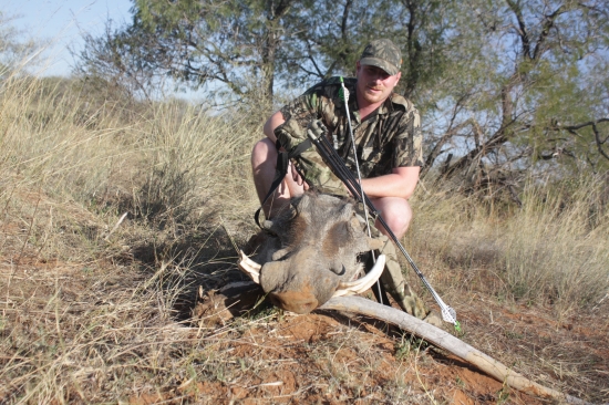 Sviňa bradavičnatá 1 - JAR