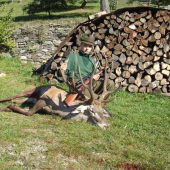 sadlo štastie na vola