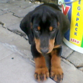 malá lady Dita