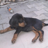 malá lady Dita