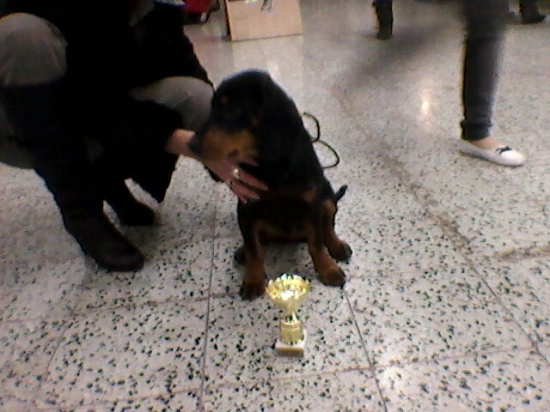 Ditka a jej prvý pohárik