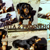 hotova modelka
