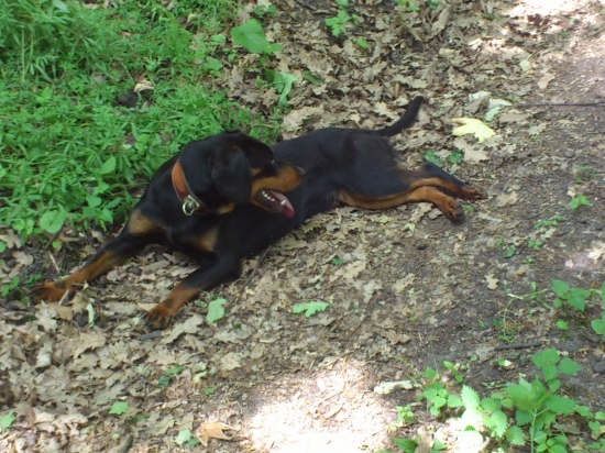 oddych po dohľadávke