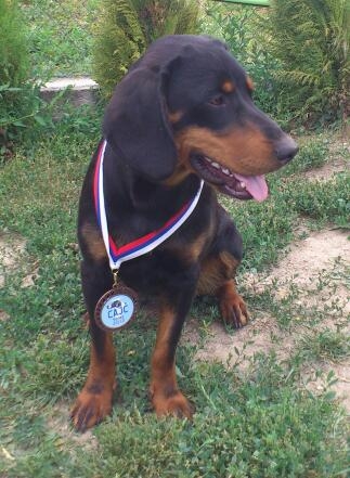 Dita z PROSNEHO - V1; CAJC