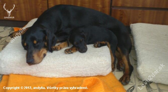Dituska a Eduska z Prosneho