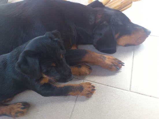 Dita z PROSNEHO a BABA BUČEKOV DVOR