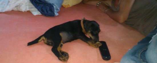 ja ti to prepnem sa to nedá pozerať ja by som chcela nejakú rozprávku ;-)