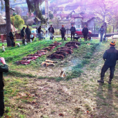 Duričské skúšky