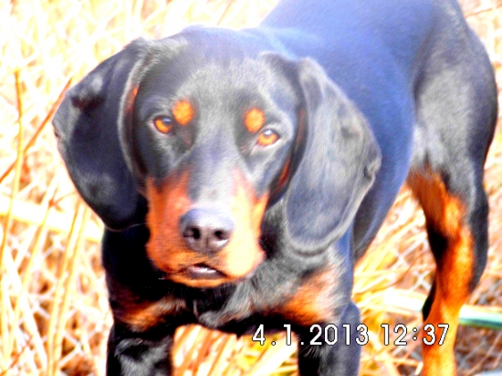 dita z prosneho štartuje :)