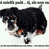 babuška