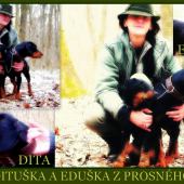 PO VYCVIKU