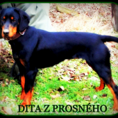 dttka