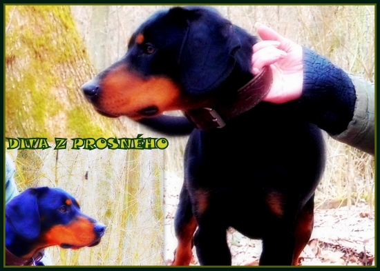 Moje malé deco podarené